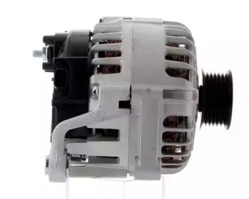 cevam-4219