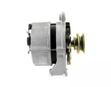 cevam-4309