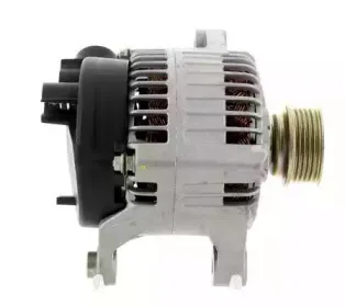 cevam-4619