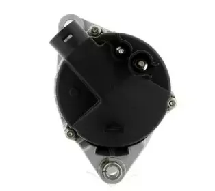 cevam-4619