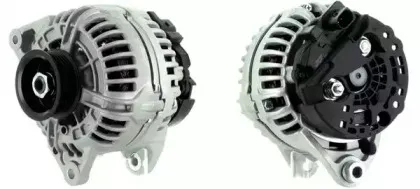 cevam-4646
