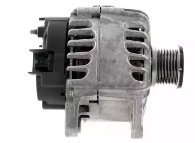cevam-4894