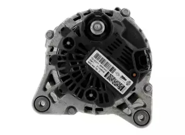 cevam-4894