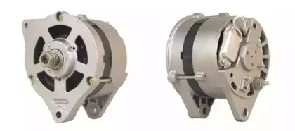 cevam-4961