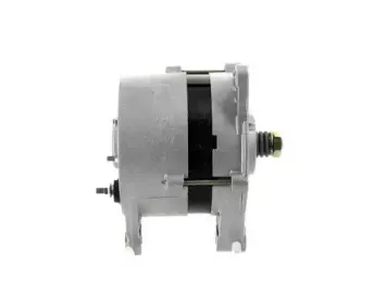 cevam-4961