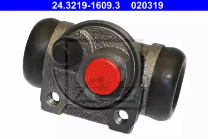 24.3219-1609.3 ATE