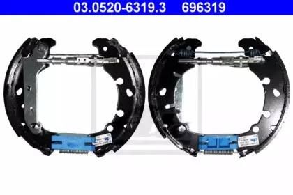 03.0520-6319.3 ATE