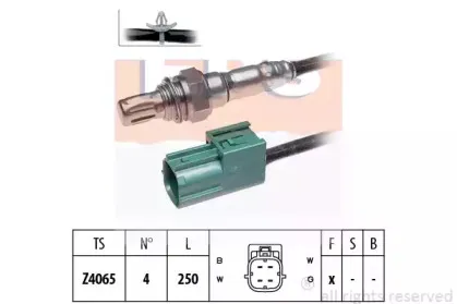 eps-1998004