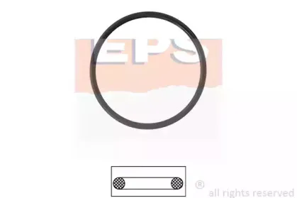 1.890.642 EPS Прокладка, термостат