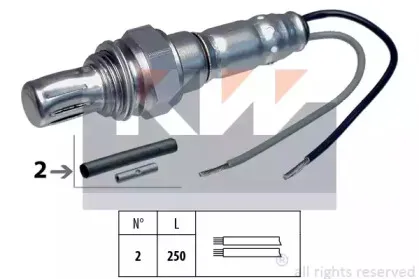 kw-497002