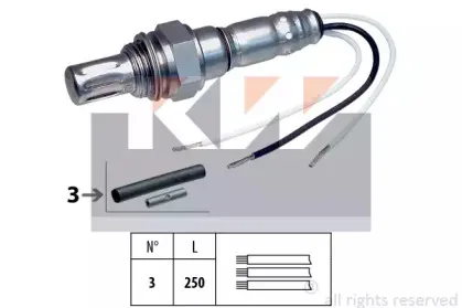 kw-497003