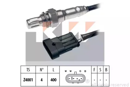 kw-497021