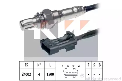 kw-497024