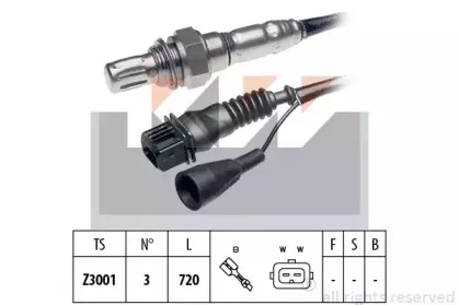 kw-497025
