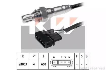 kw-497033