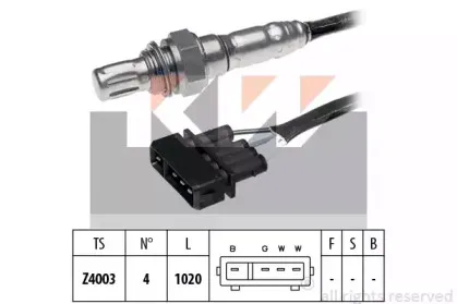 kw-497034