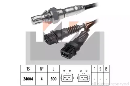 kw-497036