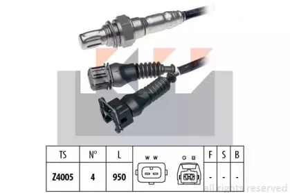 kw-497037