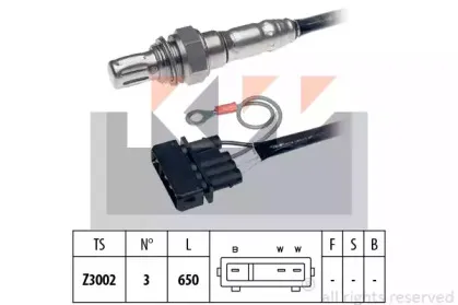 kw-497042