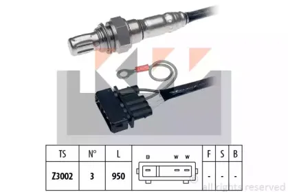 kw-497044