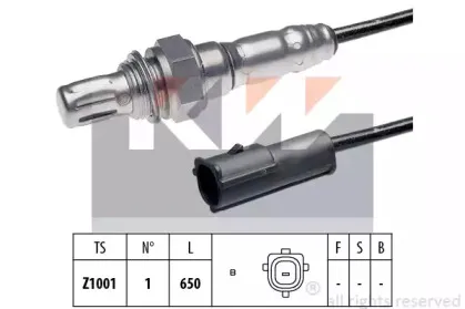 kw-497046