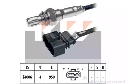 kw-497049