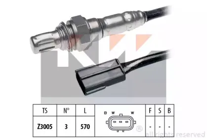 kw-497053
