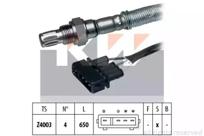 kw-497056