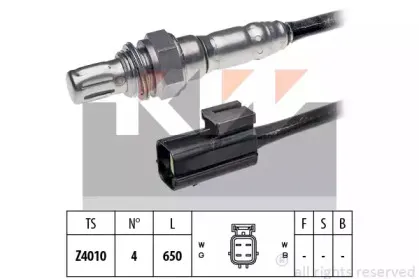 kw-497057