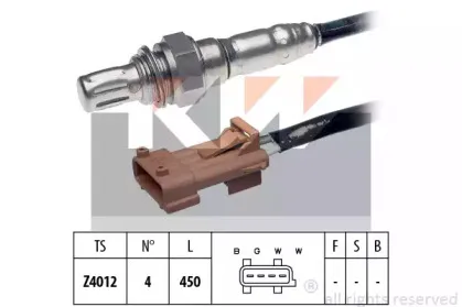 kw-497059