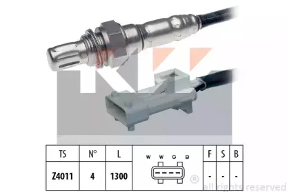 kw-497068
