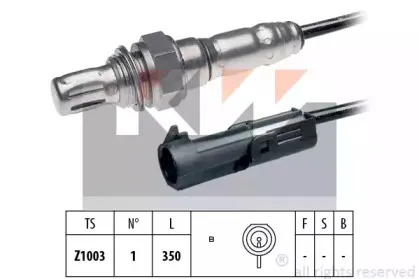 kw-497072