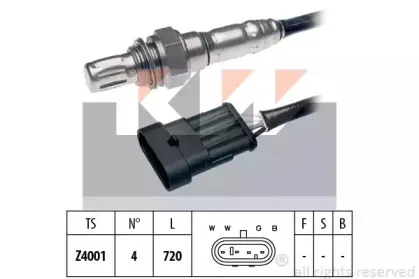 kw-497080