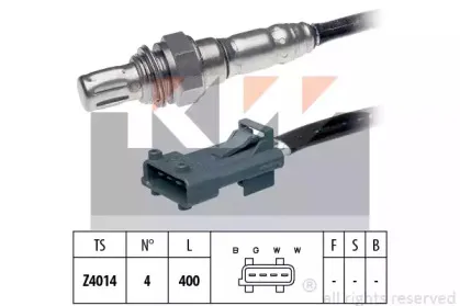 kw-497081