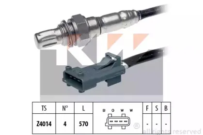 kw-497082