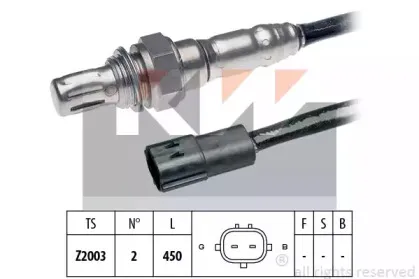 kw-497134