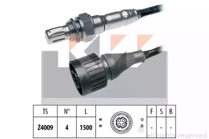 kw-497184