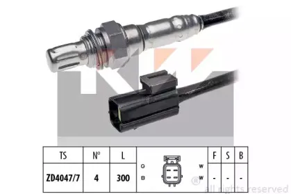 kw-497197