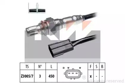 kw-497209
