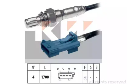 kw-497224