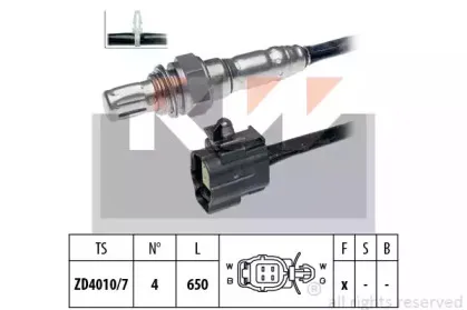 kw-497225