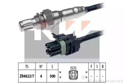 kw-497268
