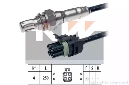 kw-497269