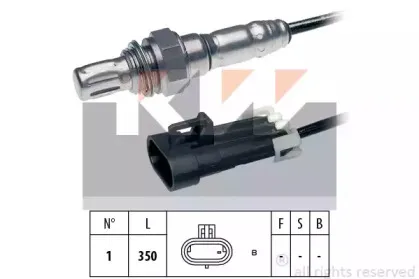kw-497287