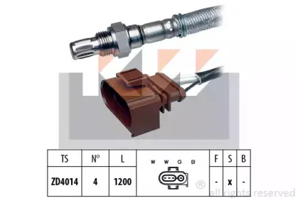 kw-497304