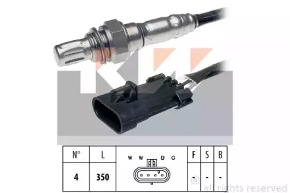 kw-497336