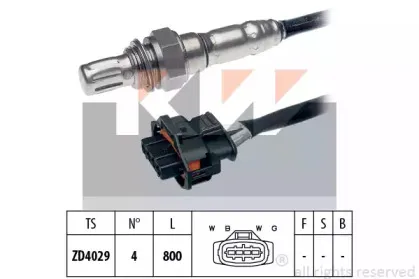 kw-497342