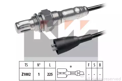 kw-497383