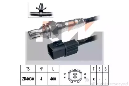 kw-497389