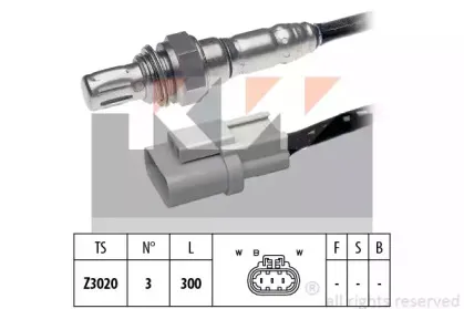 kw-497396